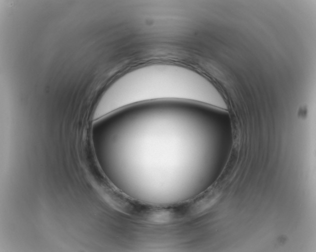 X0000091860456200709051000