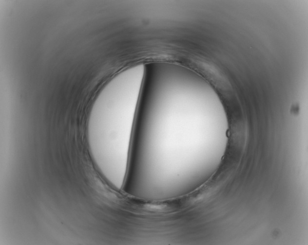 X0000091860457200709051000