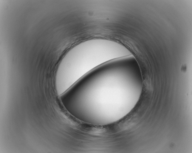 X0000091860458200709051000