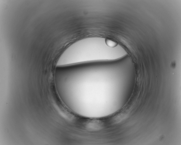 X0000091860459200709051000