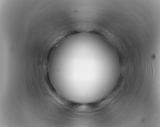 X0000091860460200709051000