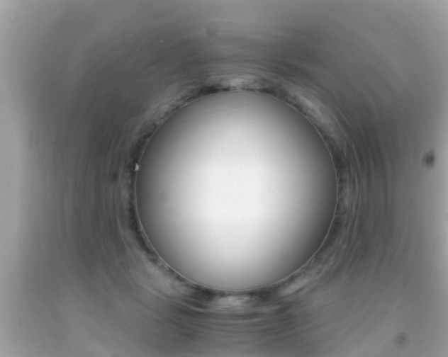 X0000091860461200709051000