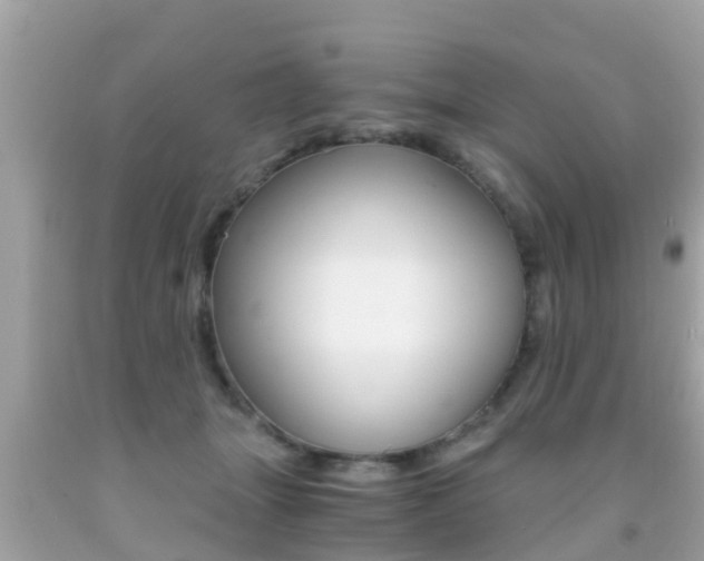 X0000091860463200709051000