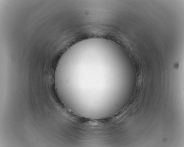 X0000091860464200709051000