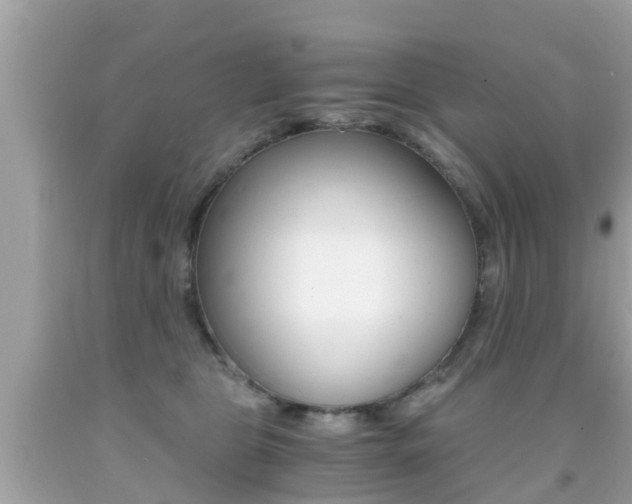 X0000091860469200709051000