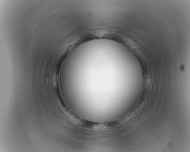 X0000091860470200709051000