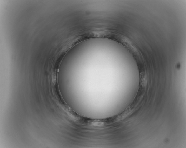 X0000091860471200709051000