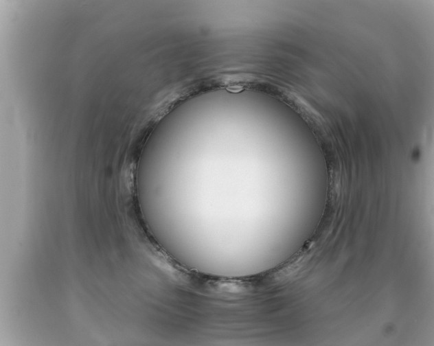 X0000091860475200709051000