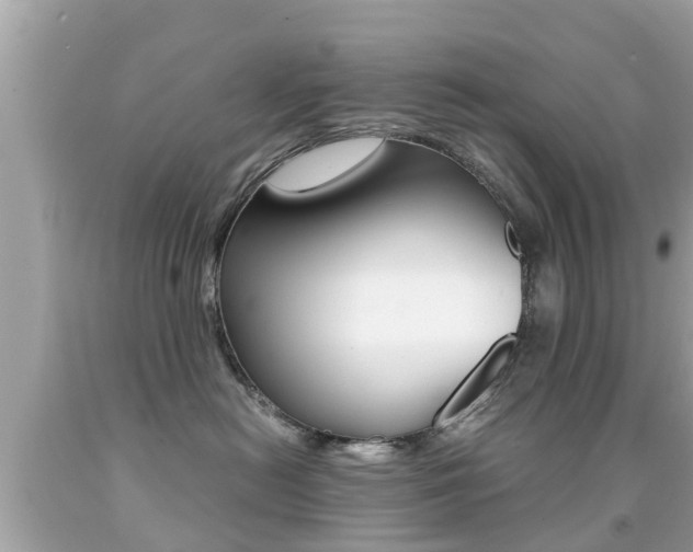 X0000091860478200709051000