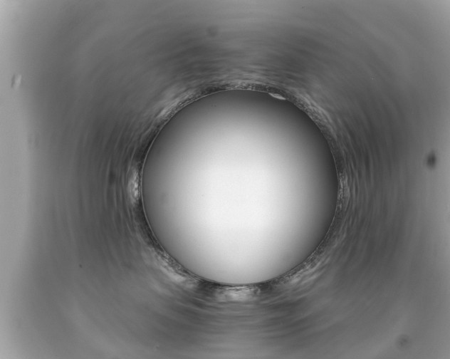 X0000091860479200709051001