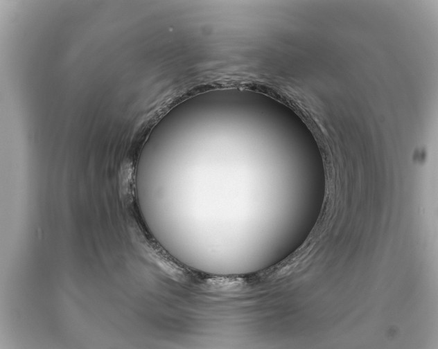 X0000091860480200709051001