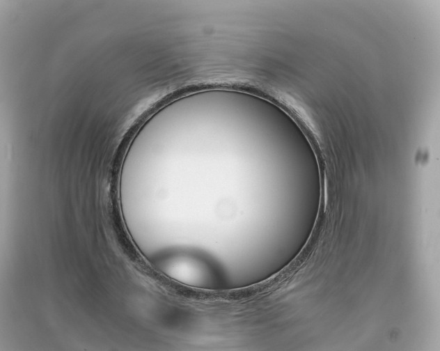 X0000091860483200709051000