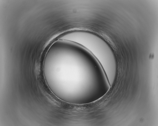 X0000091860484200709051000