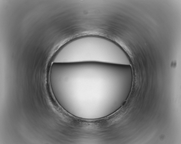 X0000091860486200709051000