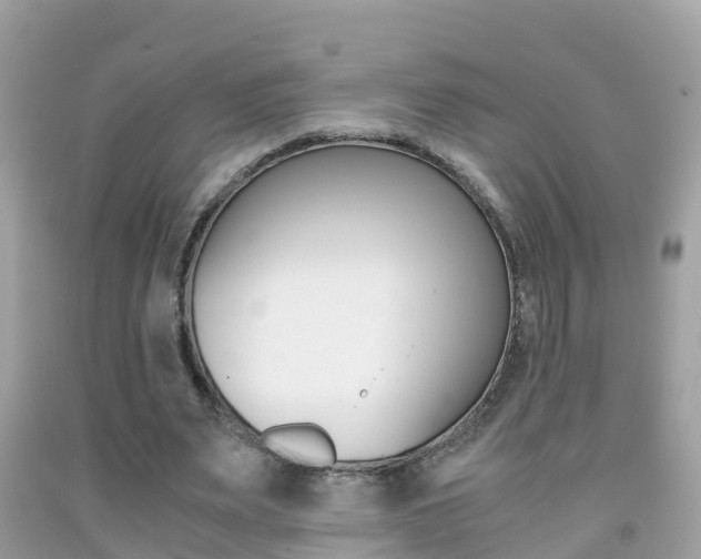 X0000091860487200709051000