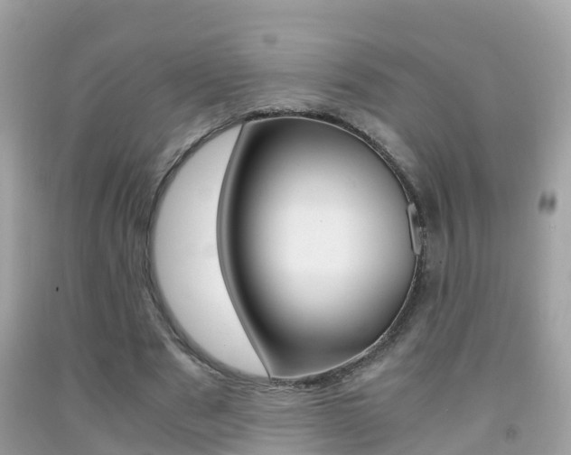 X0000091860489200709051000