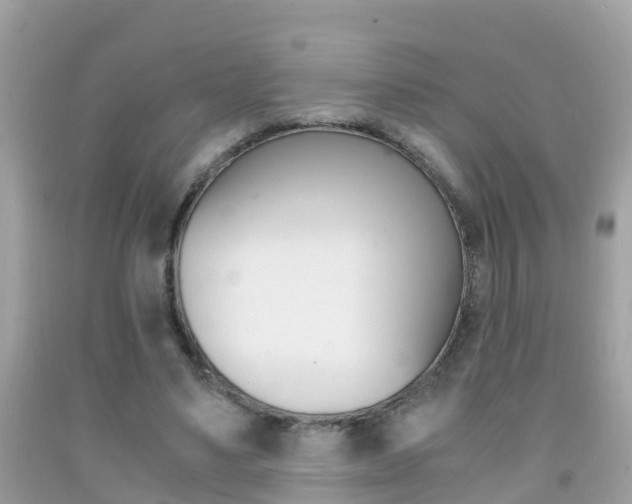 X0000091860491200709051000