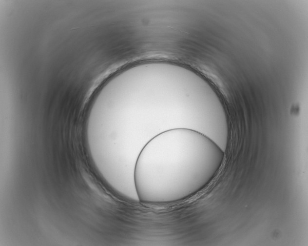 X0000091860492200709051000