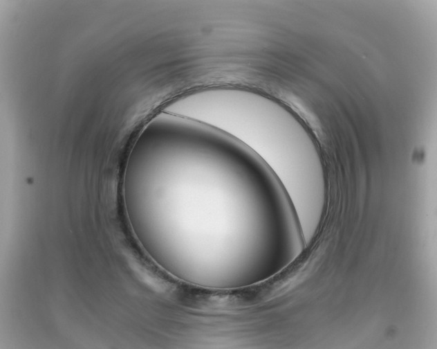 X0000091860493200709051000