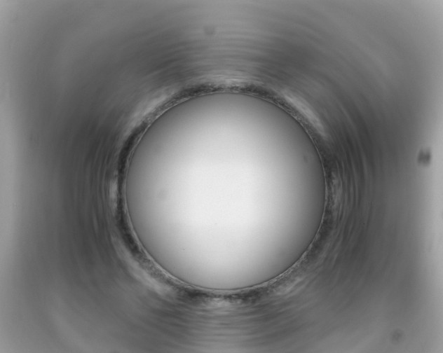X0000091860494200709051000
