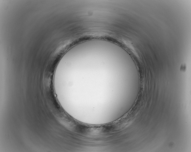 X0000091860495200709051000