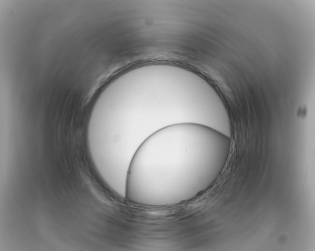 X0000091860496200709051000