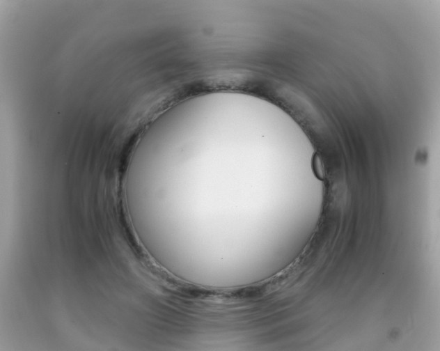 X0000091860498200709051000