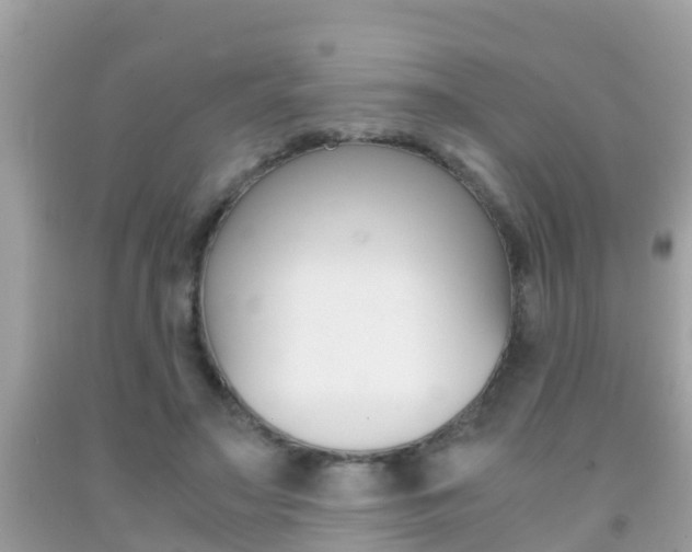 X0000091860499200709051000