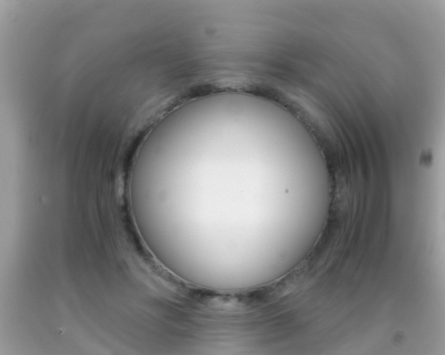 X0000091860502200709051000