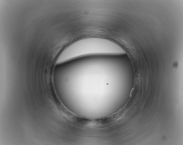 X0000091860504200709051000