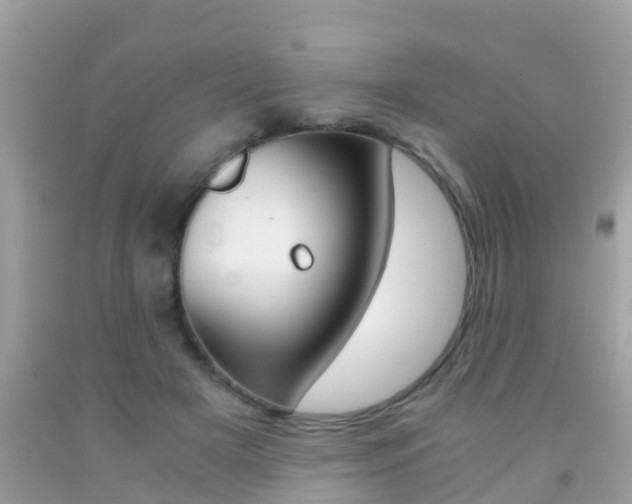 X0000091860505200709051000