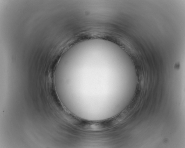 X0000091860506200709051000