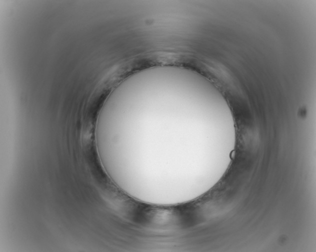 X0000091860507200709051000