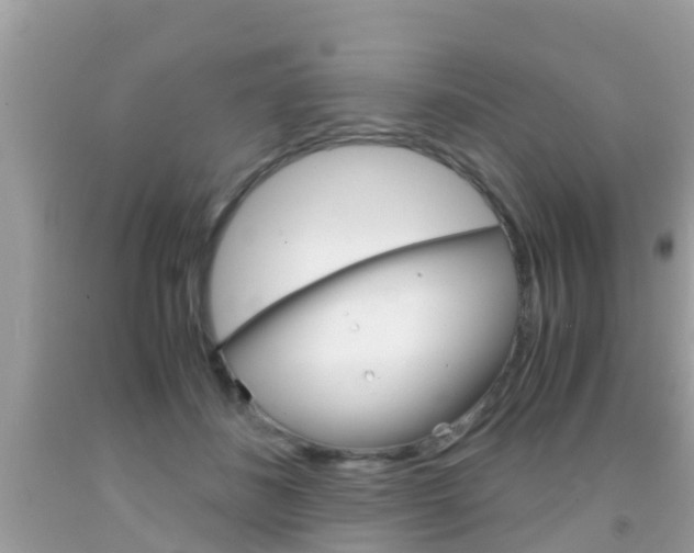 X0000091860508200709051000