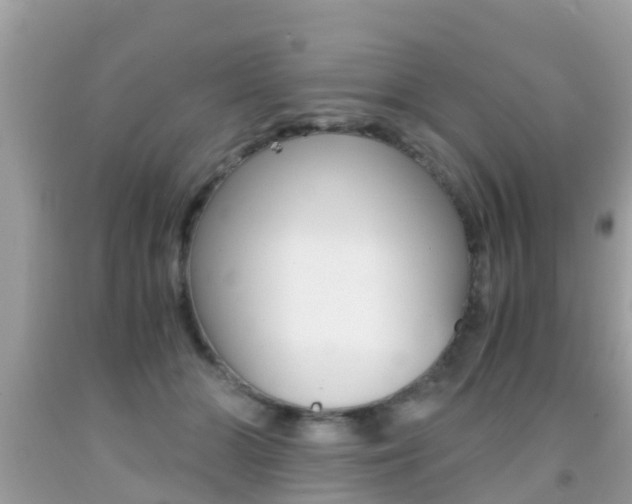 X0000091860510200709051000