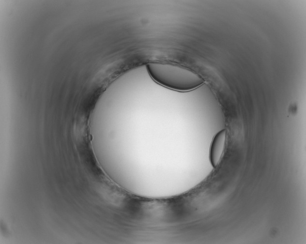 X0000091860511200709051000