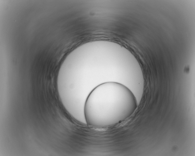 X0000091860512200709051000