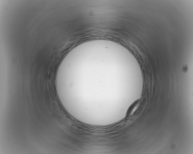 X0000091860513200709051000