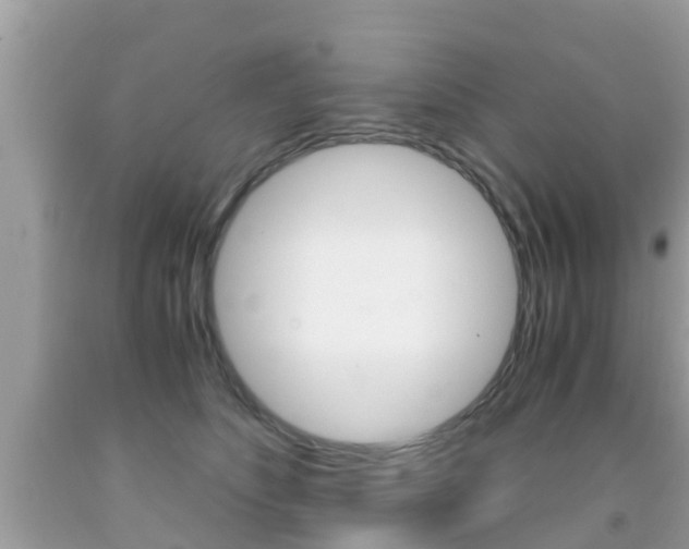 X0000091860516200709050959