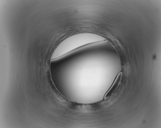 X0000091860517200709050959
