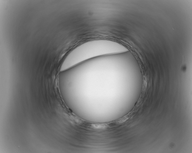 X0000091860520200709050959