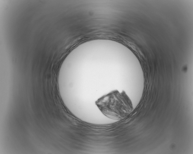 X0000091860521200709050959