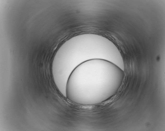 X0000091860524200709050959
