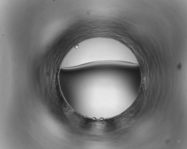 X0000091860525200709050959