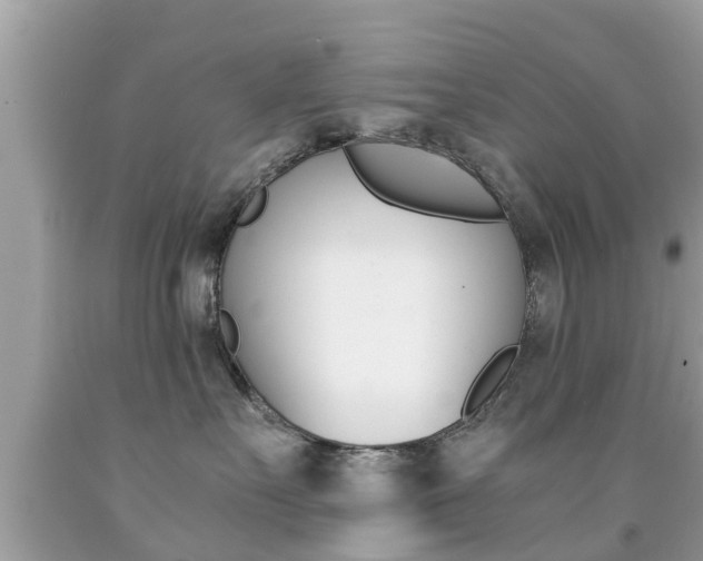 X0000091860527200709050959