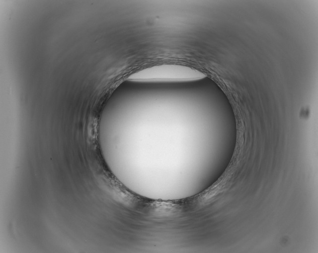 X0000091860528200709050959