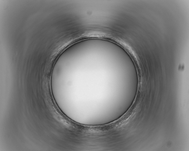 X0000091860529200709050959