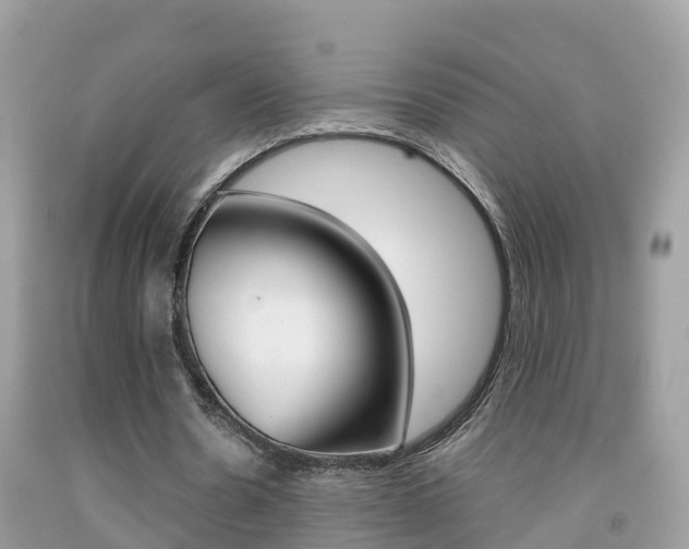 X0000091860530200709050959