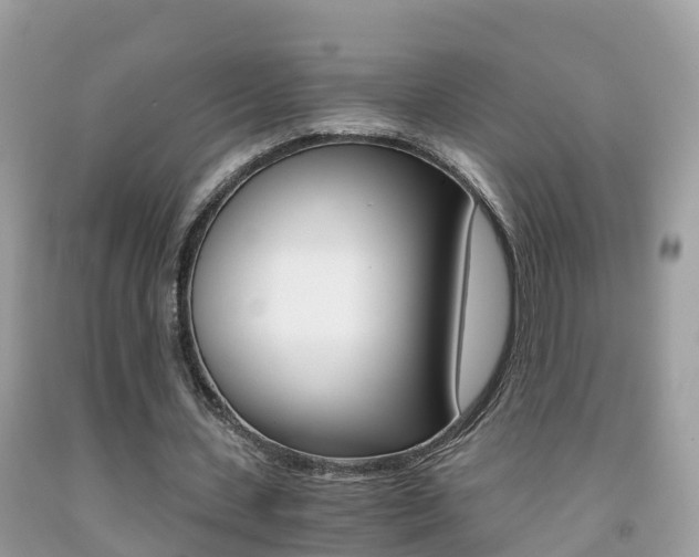 X0000091860531200709050959
