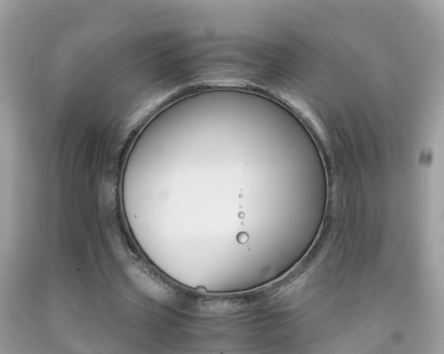 X0000091860533200709050959